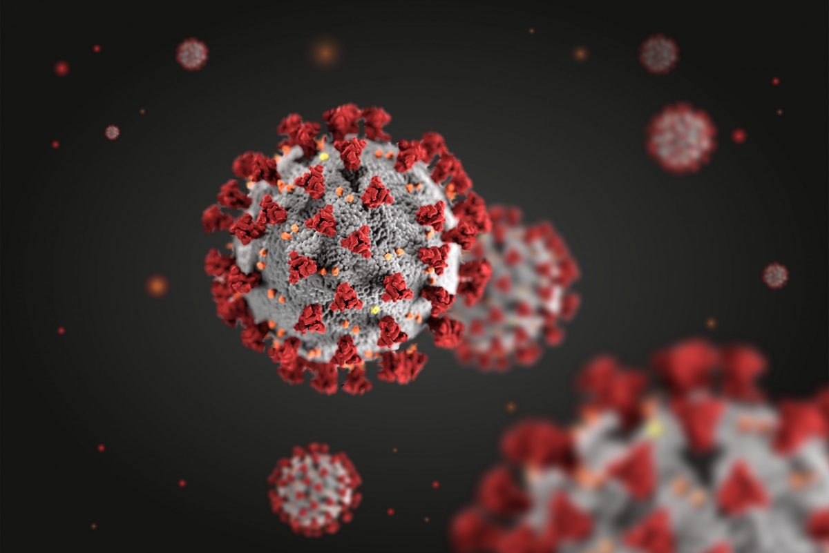 coronavirus-structural-morphology (1)